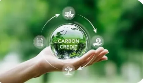 Carbon Credits