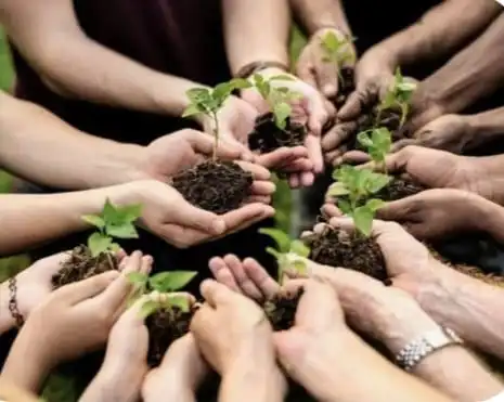 Young Minds Green Future